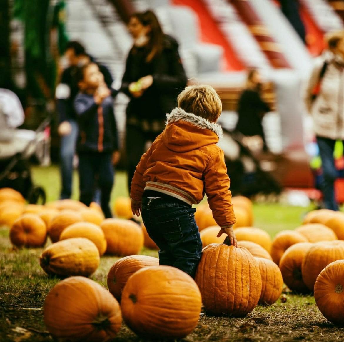 Il Villaggio delle Zucche: la magia dell’autunno prende vita!